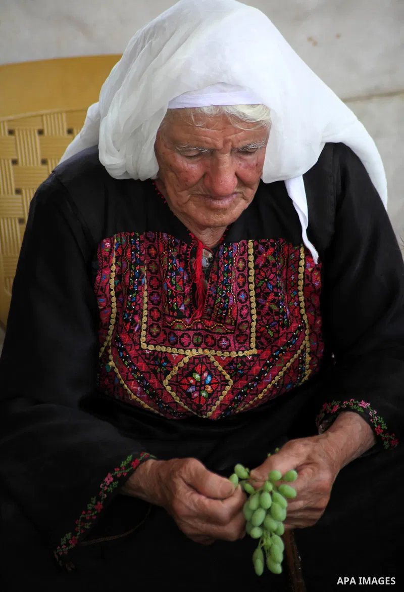 A Palestinian woman from Bighith family picks sour grapes at their farm in the West Bank village of Beit Ommar near Hebron, July 07, 2013. Bighith family dry the grapes to sell it as a new kind of spices following grindi...
