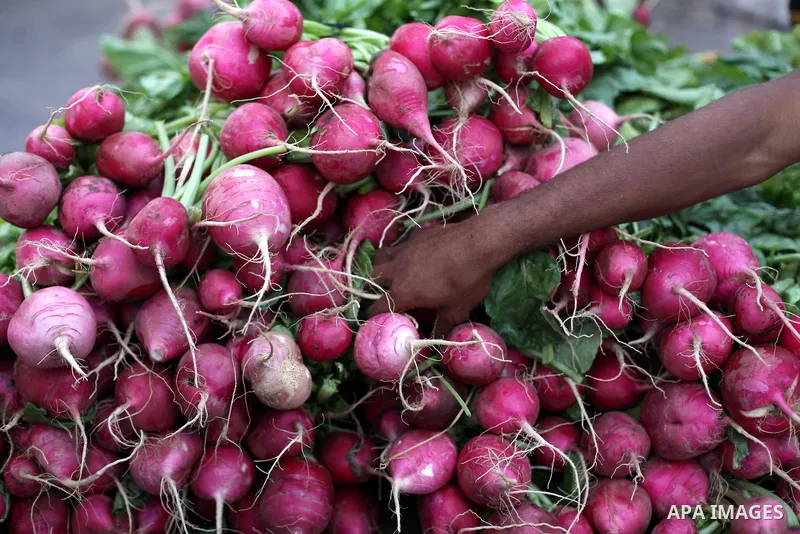 A Palestinian vendor sells radish outside al-Omari mosque on the first day of the Muslim fasting month of Ramadan on July 10, 2013 in Gaza City. During Ramadan, one of the five main religious obligations under Islam, Mus...