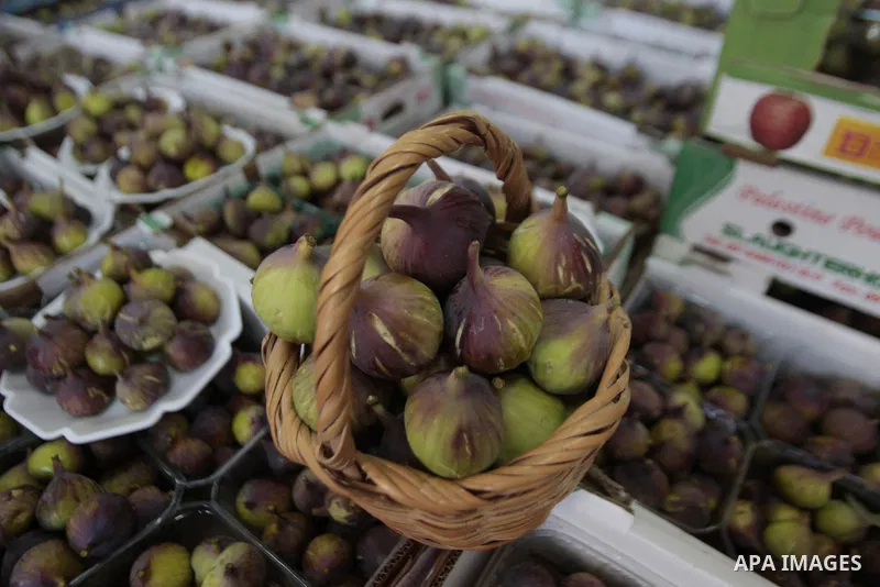 Palestinian visitors attend a festival to sell the figs in the village of Tal, near Nablus in west bank on August 24, 2013. Photo by Nedal Eshtayah