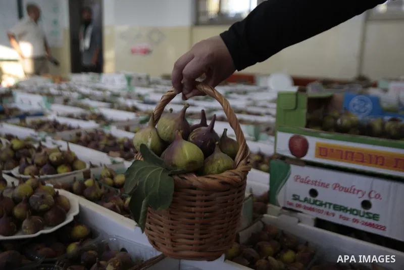 Palestinian visitors attend a festival to sell the figs in the village of Tal, near Nablus in west bank on August 24, 2013. Photo by Nedal Eshtayah