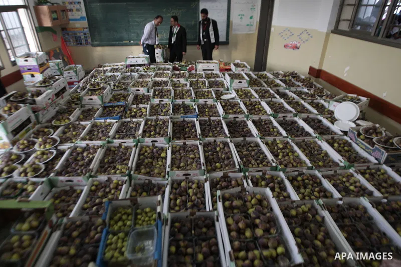 Palestinian visitors attend a festival to sell the figs in the village of Tal, near Nablus in west bank on August 24, 2013. Photo by Nedal Eshtayah