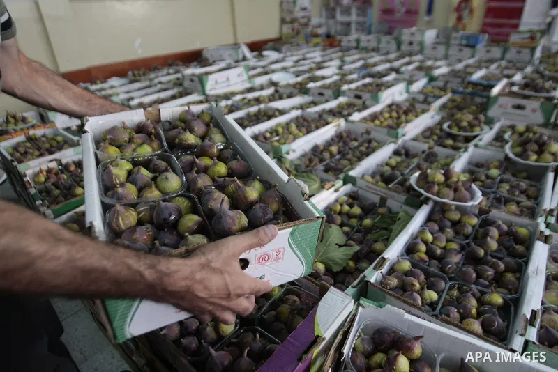 Palestinian visitors attend a festival to sell the figs in the village of Tal, near Nablus in west bank on August 24, 2013. Photo by Nedal Eshtayah