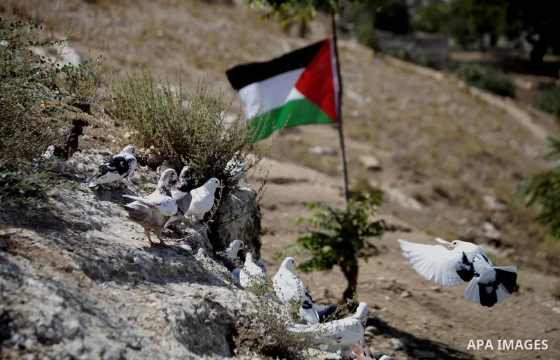 A waving Palestinian flag is placed next to the cave of Khaled al-Zeer al-Husaini, 39, in the east Jerusalem Arab neighbourhood of Silwan, August 26, 2013. Al-Husaini is a father of five children live in a cave, which wa...