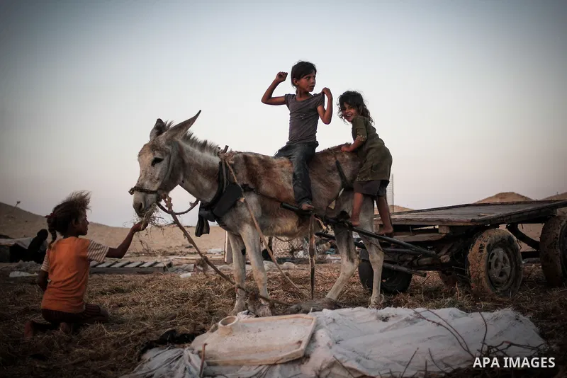 Palestinian children play outside their family's tent in a poverty-stricken quarter of the town of Khan Younis, in the southern Gaza Strip, Aug 29, 2013. Photo by Ezz Zanoon