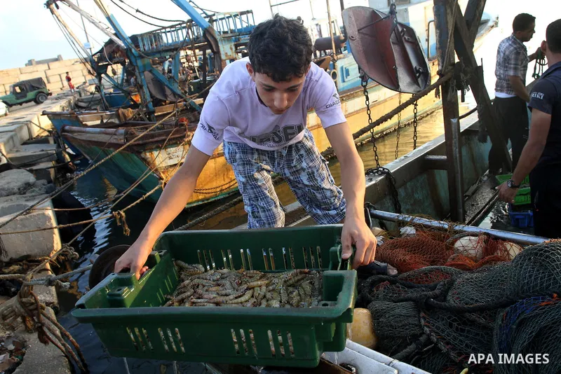 Palestinian fishermen display a fish on the beach front after their return from the sea in Gaza city, on Aug. 31, 2013. The Egyptian navy boats attacked the Palestinian boats off the southern Gaza Strip on Friday, near t...