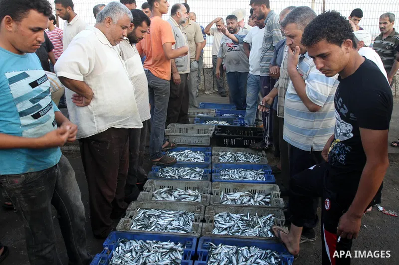 Palestinian fishermen display a fish on the beach front after their return from the sea in Gaza city, on Aug. 31, 2013. The Egyptian navy boats attacked the Palestinian boats off the southern Gaza Strip on Friday, near t...