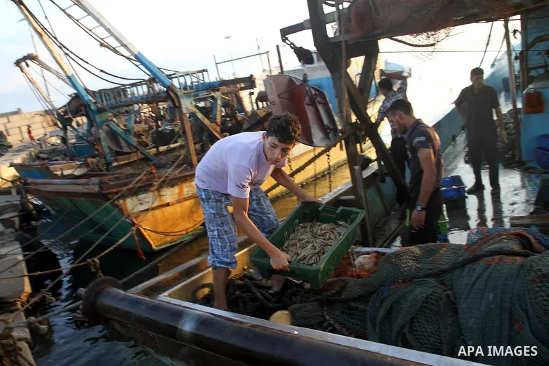 Palestinian fishermen display a fish on the beach front after their return from the sea in Gaza city, on Aug. 31, 2013. The Egyptian navy boats attacked the Palestinian boats off the southern Gaza Strip on Friday, near t...