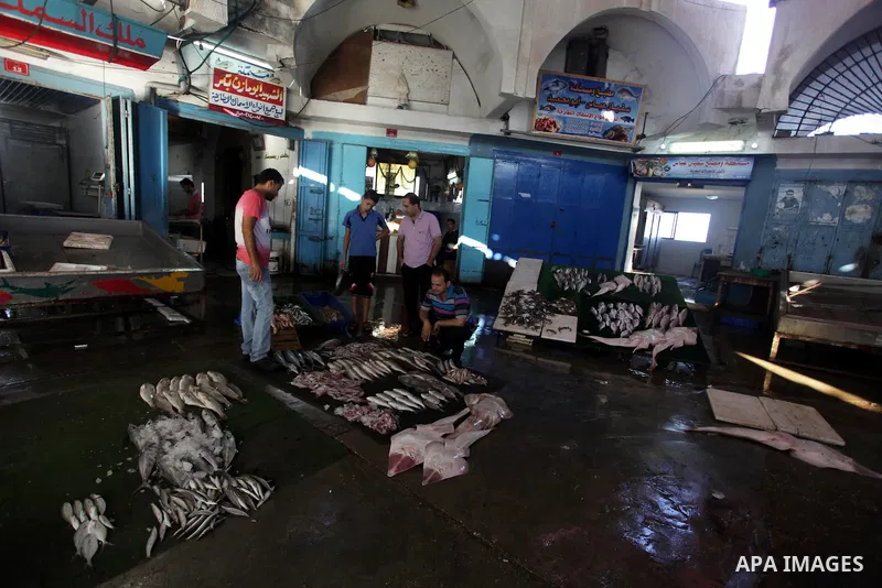 Palestinian fishermen display fish at a fish market at the Gaza seaport in the west of Gaza City, 02 September 2013. The Egyptian navy boats attacked the Palestinian boats off the southern Gaza Strip last Friday, near th...