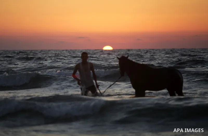 A Palestinian man washes his horse into the sea at Gaza' beach in Gaza city on Sep. 08, 2013. Photo by Ashraf Amra