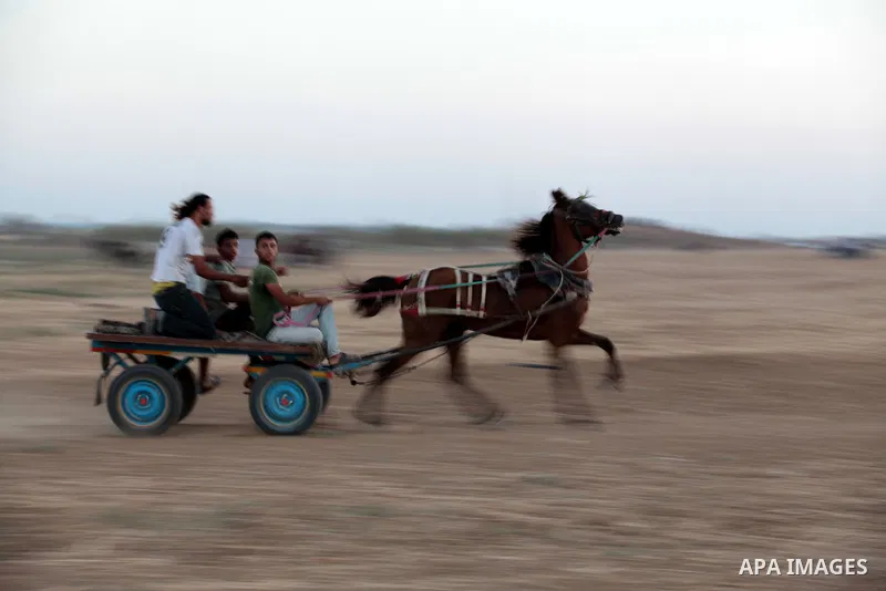 Palestinian spectators attend a horse race and show in the North of the Gaza Strip, 22 September 2013. Every other Sunday Palestinians gather to race and show off their horses. A race is held between seven horses and the...