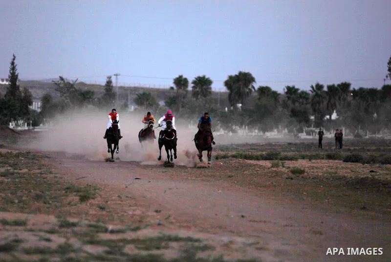 Palestinian participants and their horses are seen during a horse race and show in the North of the Gaza Strip, 22 September 2013. Every other Sunday Palestinians gather to race and show off their horses. A race is held...