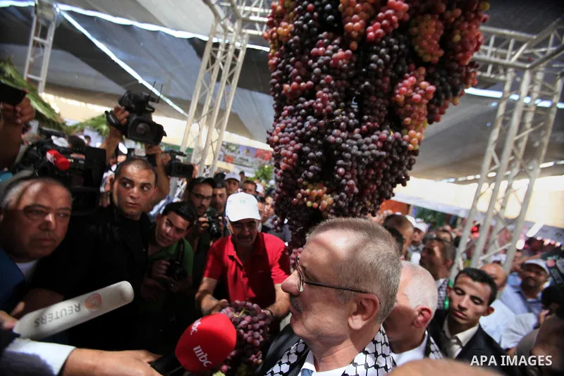 Palestinian Prime Minister Rami Hamdallah participates in Palestinian grapes festival at Halhoul town northen in the West Bank city of Hebron, on Sept. 29, 2013. Hebron is very famous in grape production as it contains m...
