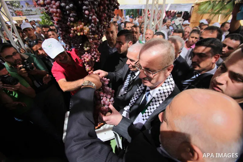 Palestinian Prime Minister Rami Hamdallah participates in Palestinian grapes festival at Halhoul town northen in the West Bank city of Hebron, on Sept. 29, 2013. Hebron is very famous in grape production as it contains m...