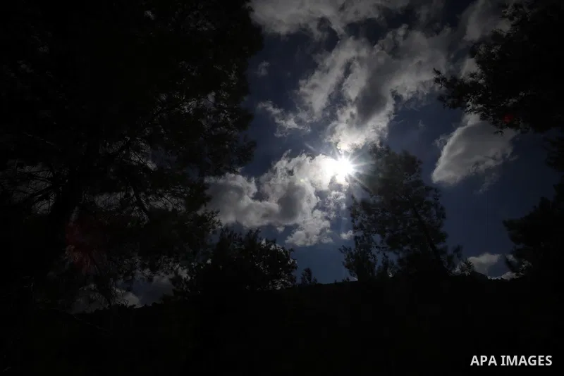 A picture taken on Sept. 29, 2013 shows the forest of Haifa city. Photo by Saeed Qaq