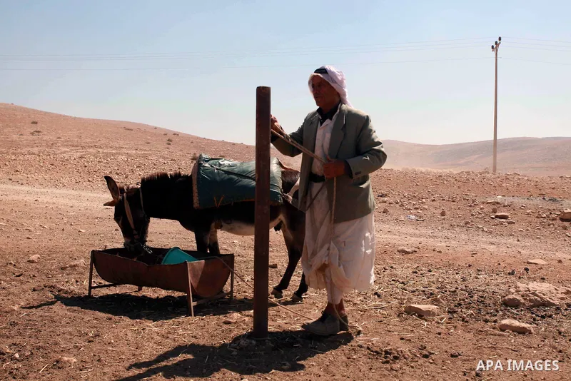 A Palestinian Bedouin man feeds his donkey in the Jordan valley village of Makhoul September 30, 2013. Israel's army on Monday declared the Jordan Valley village of Makhoul a closed military area to prevent Palestinian a...