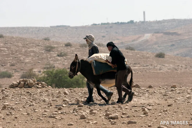 Palestinians carry a tent on a donkey in the Jordan valley village of Makhoul September 30, 2013. Israel's army on Monday declared the Jordan Valley village of Makhoul a closed military area to prevent Palestinian and in...