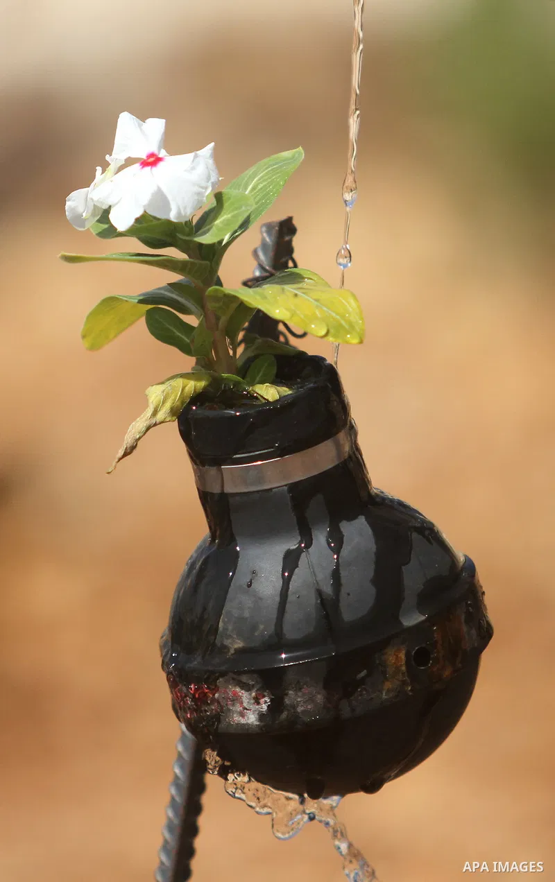 A Palestinian man waters a flowers planted in a tear gas canister in the village of Bilin, near the West Bank city of Ramallah, Oct. 2, 2013. The tear gas canisters were collected during years of clashes with Israeli sec...