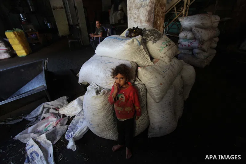 A Palestinian girl poses for a photograph at a traditional stone press in Gaza City, 20 October 2013. Regional farmers are harvesting their olives this year from mid-October until 01 November. According to figures issued...