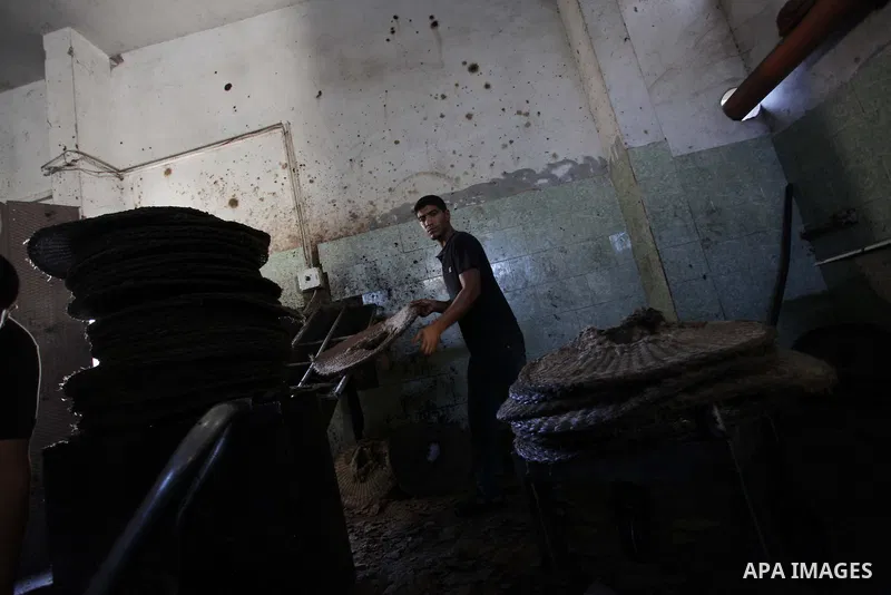 A Palestinian worker prepares crushed olives between metal plates at a traditional stone press in Gaza City, 20 October 2013. Regional farmers are harvesting their olives this year from mid-October until 01 November. Acc...