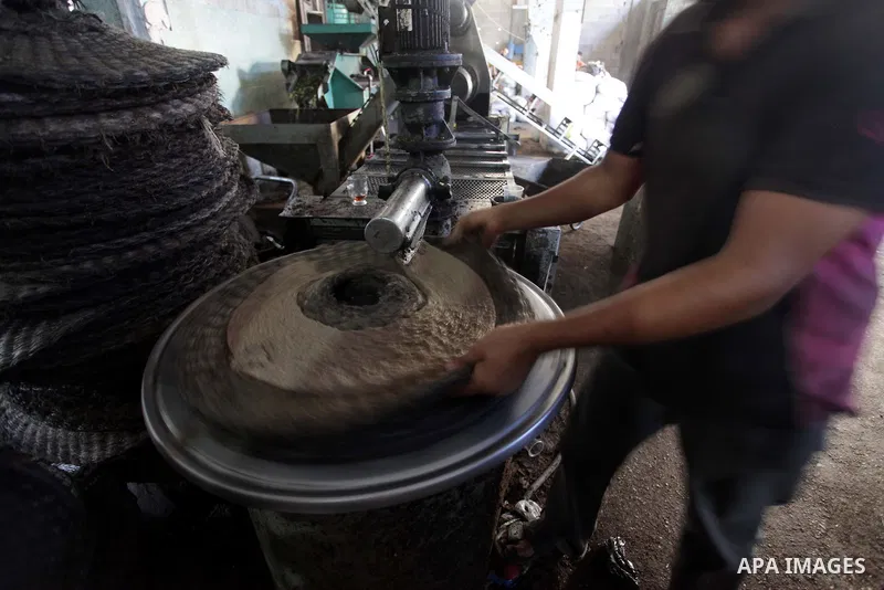 A Palestinian worker presses olives at a traditional stone press in Gaza City, 20 October 2013. Regional farmers are harvesting their olives this year from mid-October until 01 November. According to figures issued by th...