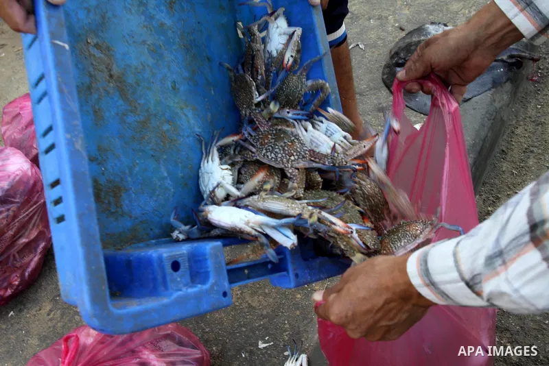 A Palestinian fishermen sells crabs at the beach of Gaza City, on Oct. 23, 2013. Israel restricted the fishing zone to three nautical miles following the kidnapping of Israeli soldier Gilad Shalit in 2007. The Oslo Accor...