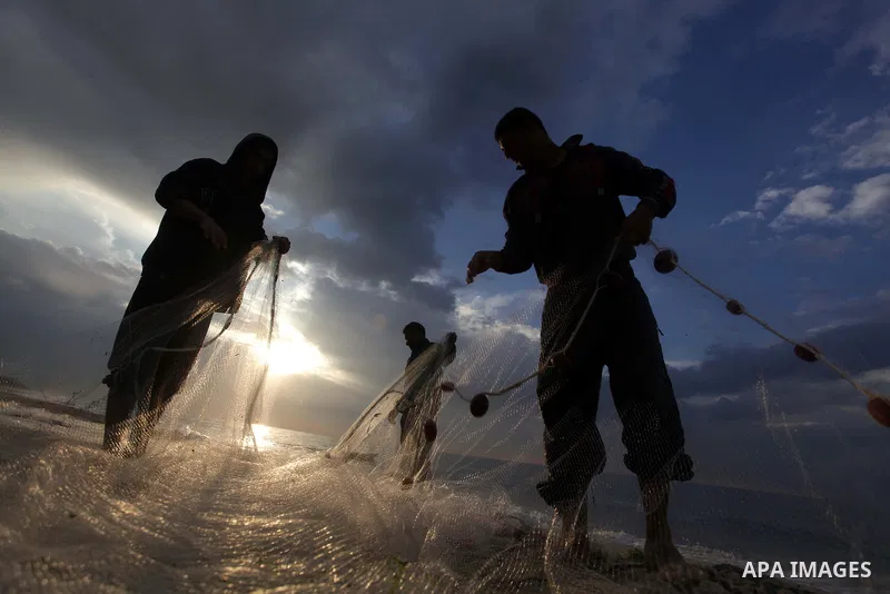 Palestinian fishermen retrieve their net during a rainy day at the beach of Gaza City, on November 18, 2013. Photo by Ashraf Amra