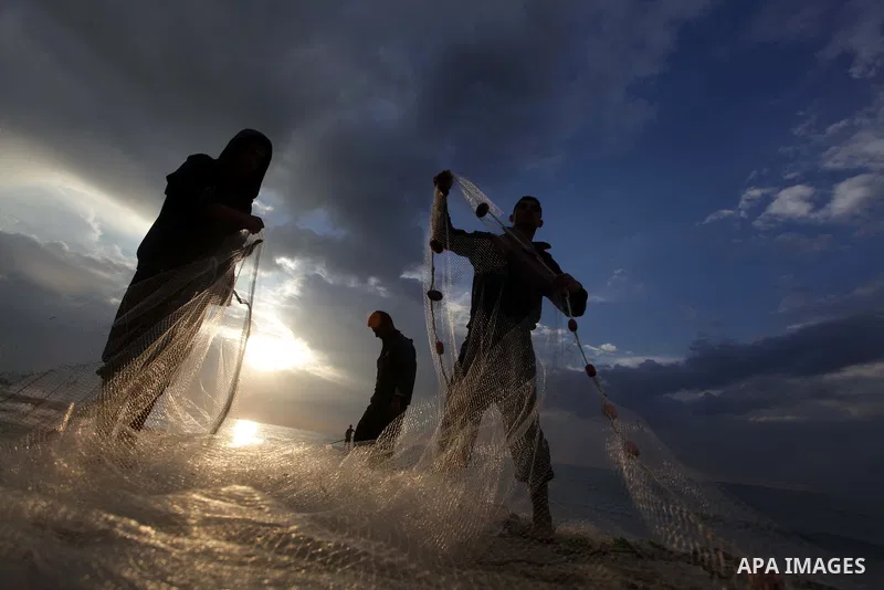 Palestinian fishermen retrieve their net during a rainy day at the beach of Gaza City, on November 18, 2013. Photo by Ashraf Amra