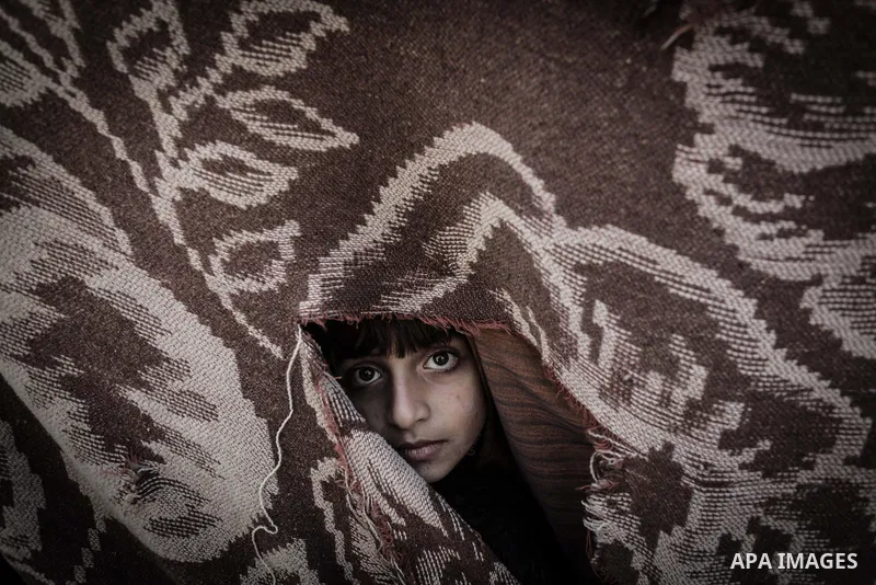 A Palestinian boy looks through a curtain outside their tin shacks in Khan Younis refugee camp, in southern Gaza Strip, November 21, 2013. The UNRWA, which is facing a 36-million dollar deficit, halted 19 out of 20 const...