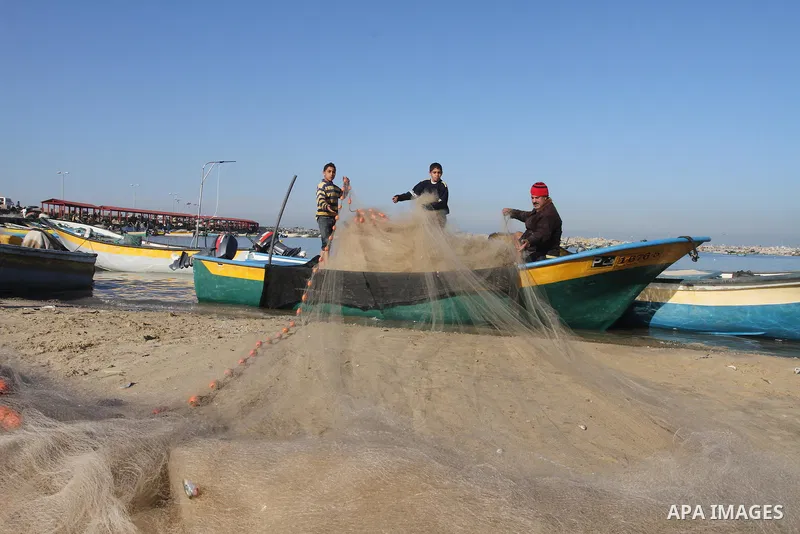 Palestinian fishermen collect fish from their nets at the port in Gaza City on December 17, 2013. Copious fish flowed to the coast of the Gaza Strip after four days of severe weather conditions in the coastal territory....
