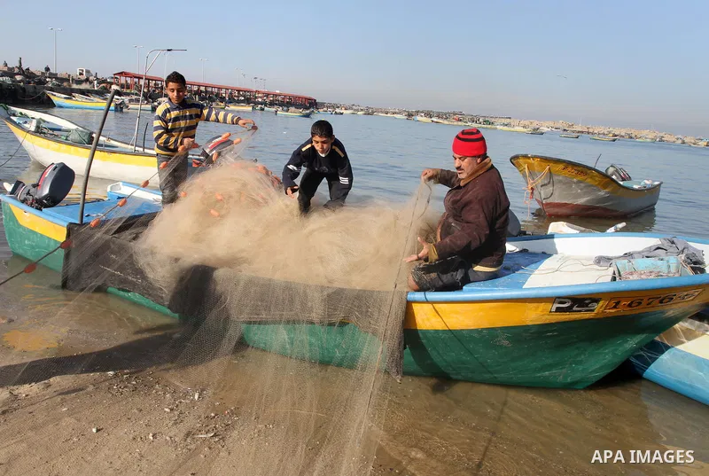 Palestinian fishermen collect fish from their nets at the port in Gaza City on December 17, 2013. Copious fish flowed to the coast of the Gaza Strip after four days of severe weather conditions in the coastal territory....