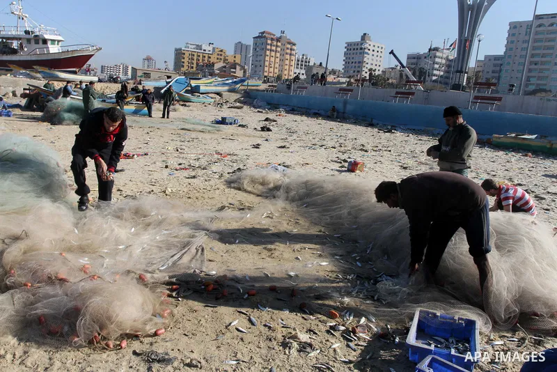 Palestinian fishermen collect fish from their nets at the port in Gaza City on December 17, 2013. Copious fish flowed to the coast of the Gaza Strip after four days of severe weather conditions in the coastal territory....