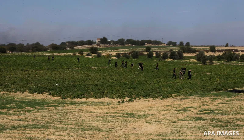 Palestinian high school students take part in a military-styled exercise routine at a course conducted by the Hamas-run ministry of education, in Rafah in the southern Gaza Strip January 9, 2014. Male students would lear...