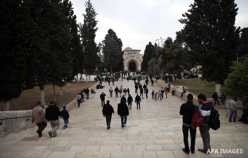 Palestinian worshipers attend Friday prayers at the Al-Aqsa compound, Islam's third holiest site, in the old city of Jerusalem January 10, 2014. Photo by Saeed Qaq