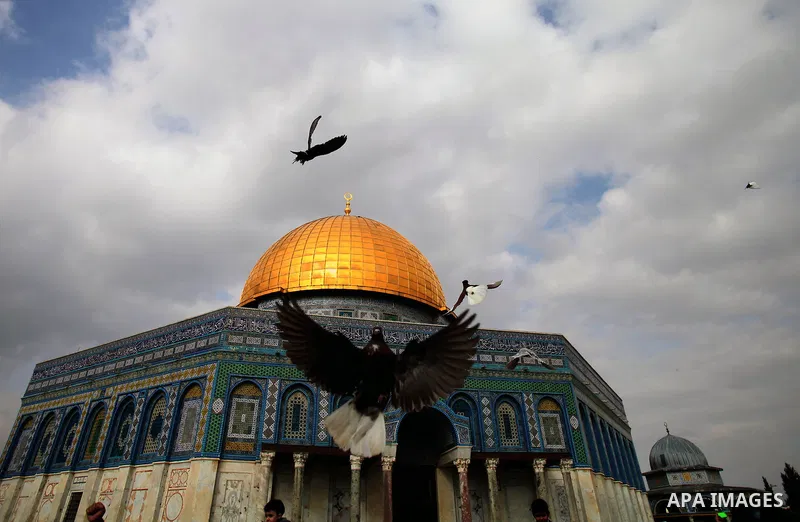 Palestinians attend a celebration commemorate the birth of Islam's Prophet Mohammed in a "Mouled" procession, in front of the Dome of the Rock mosque at the Al-Aqsa compound, Islam's third holiest site, in the old city o...