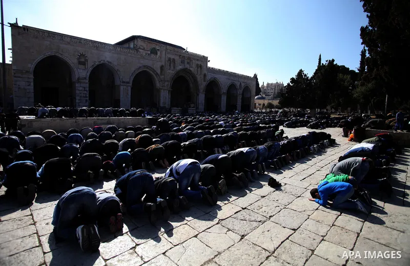Palestinian worshipers attend Friday prayers at the Al-Aqsa compound, Islam's third holiest site, in the old city of Jerusalem January 17, 2014. Photo by Saeed Qaq