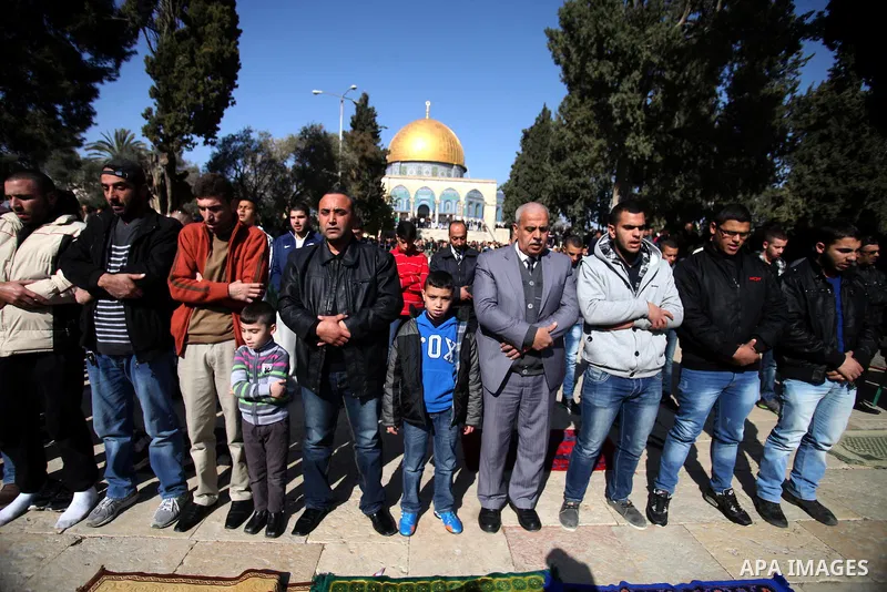 Palestinian worshipers attend Friday prayers at the Al-Aqsa compound, Islam's third holiest site, in the old city of Jerusalem January 17, 2014. Photo by Saeed Qaq