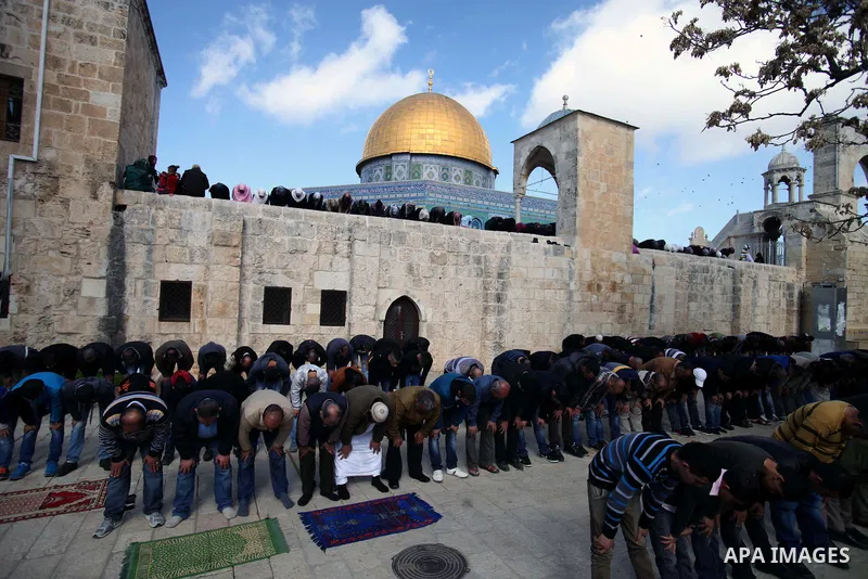 Palestinian worshipers attend Friday prayers at the Al-Aqsa compound, Islam's third holiest site, in the old city of Jerusalem January 24, 2014. Photo by Saeed Qaq