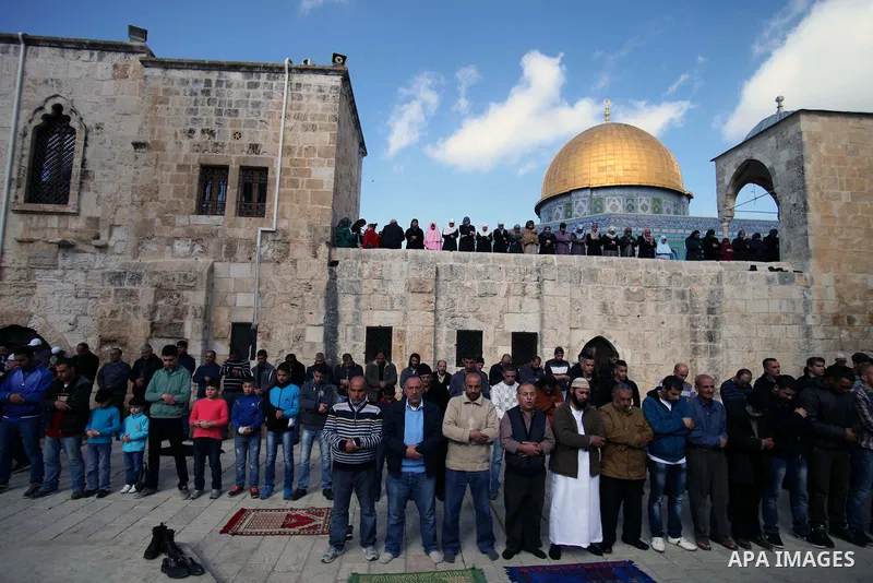 Palestinian worshipers attend Friday prayers at the Al-Aqsa compound, Islam's third holiest site, in the old city of Jerusalem January 24, 2014. Photo by Saeed Qaq