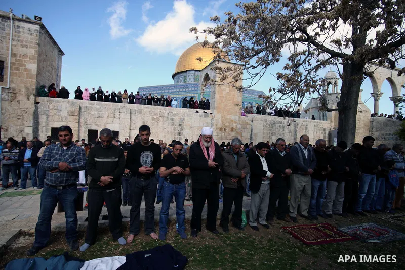 Palestinian worshipers attend Friday prayers at the Al-Aqsa compound, Islam's third holiest site, in the old city of Jerusalem January 24, 2014. Photo by Saeed Qaq