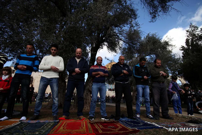 Palestinian worshipers attend Friday prayers at the Al-Aqsa compound, Islam's third holiest site, in the old city of Jerusalem January 24, 2014. Photo by Saeed Qaq