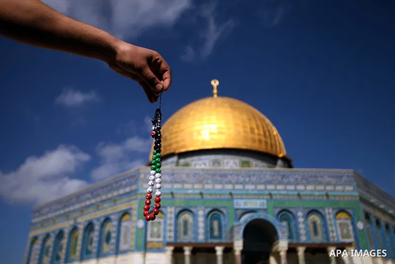 Palestinian worshipers attend Friday prayers at the Al-Aqsa compound, Islam's third holiest site, in the old city of Jerusalem January 24, 2014. Photo by Saeed Qaq