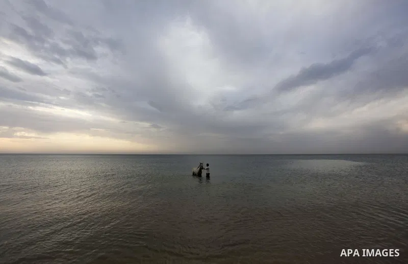 A Palestinian man washes his horse into the sea, at the beach of Gaza City on January 27, 2014. Photo by Ashraf Amra