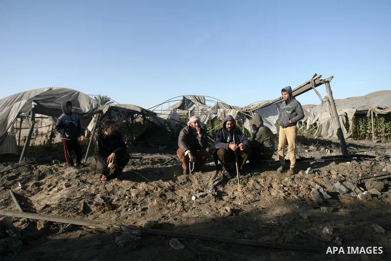Palestinians inspects a farm following an Israeli air strike that injured two Palestinians, in the southern Gaza Strip town of Rafah on January 31, 2014. Photo by Eyad Al Baba