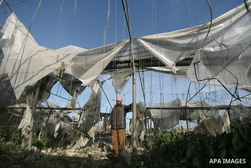 A Palestinian man inspects his farm following an Israeli air strike that injured two Palestinians, in the southern Gaza Strip town of Rafah on January 31, 2014. Photo by Eyad Al Baba