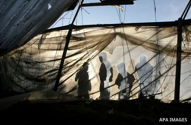 The silhouette of Palestinians is seen through a greenhouse as they inspect a farm following an Israeli air strike that injured two Palestinians, in the southern Gaza Strip town of Rafah on January 31, 2014. Photo by Eya...