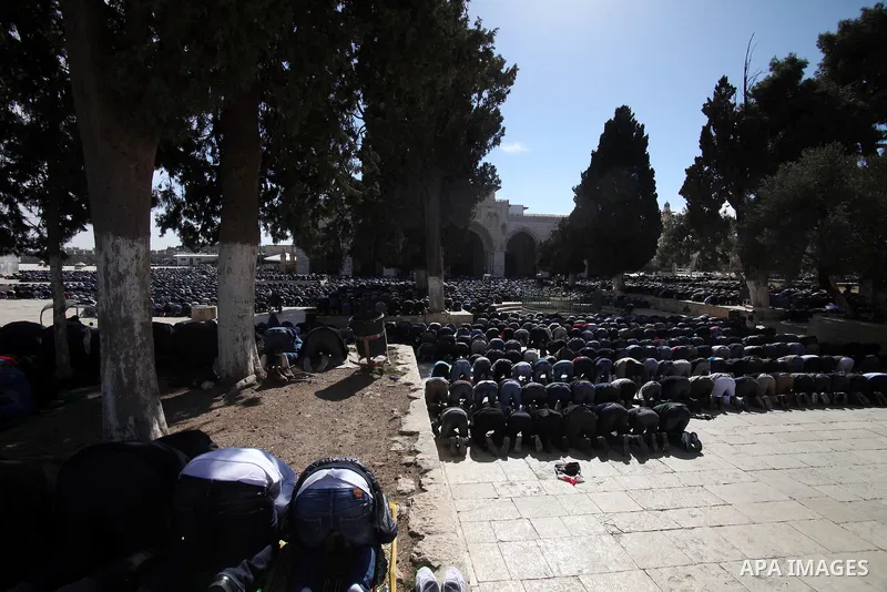 Palestinian worshipers attend Friday prayers at the Al-Aqsa compound, Islam's third holiest site, in the old city of Jerusalem January 31, 2014. Photo by Saeed Qaq