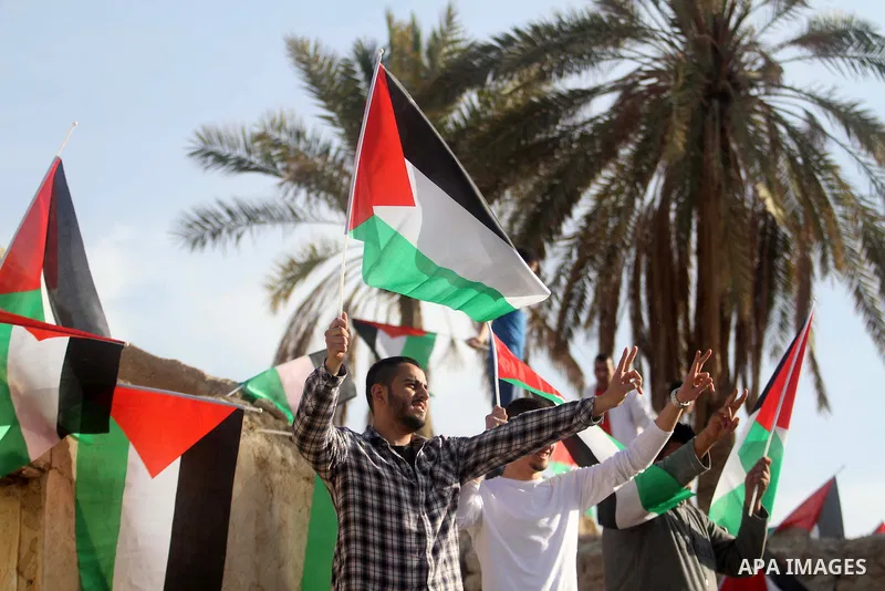 Palestinian activists hold their national flags at the site of the old village known as Ein Hijleh, in the Jordan valley near the West Bank City of Jericho, January 31, 2014. Hundreds of Palestinians announced today the...