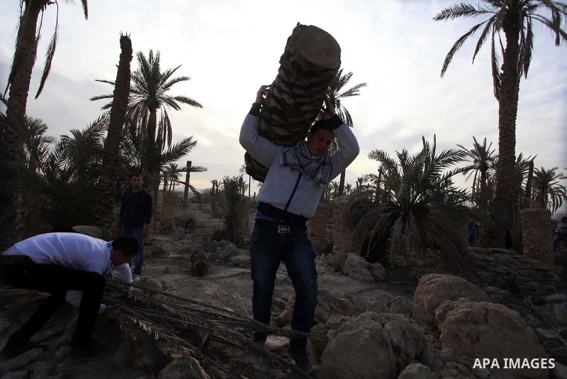Palestinian activists work at the site of the old village known as Ein Hijleh, in the Jordan valley near the West Bank City of Jericho, January 31, 2014. Hundreds of Palestinians announced today the launching of “Melh Al...
