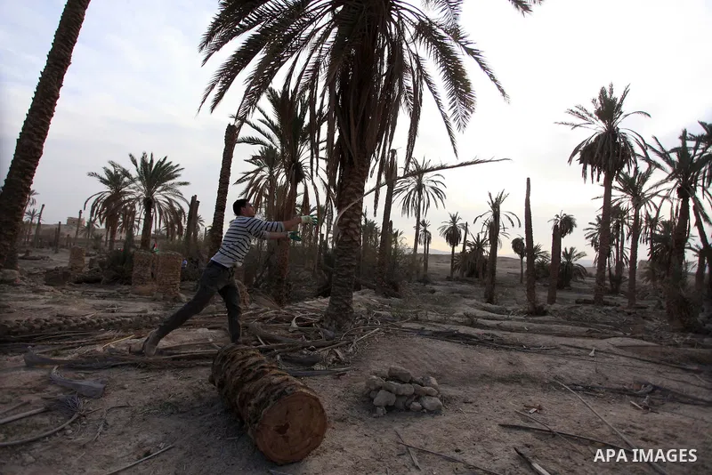Palestinian activists work at the site of the old village known as Ein Hijleh, in the Jordan valley near the West Bank City of Jericho, January 31, 2014. Hundreds of Palestinians announced today the launching of “Melh Al...