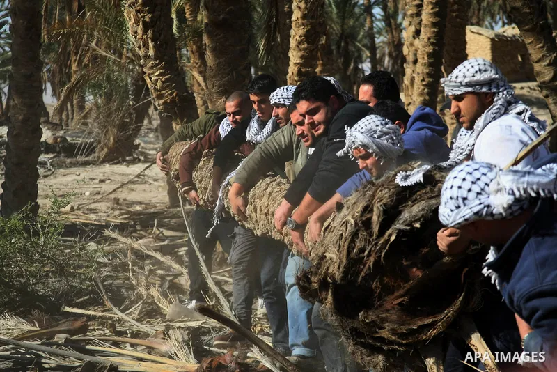Palestinian activists work at the site of the old village known as Ein Hijleh, in the Jordan valley near the West Bank City of Jericho, Feb. 01, 2014. Hundreds of Palestinians announced today the launching of â??Melh Al-...